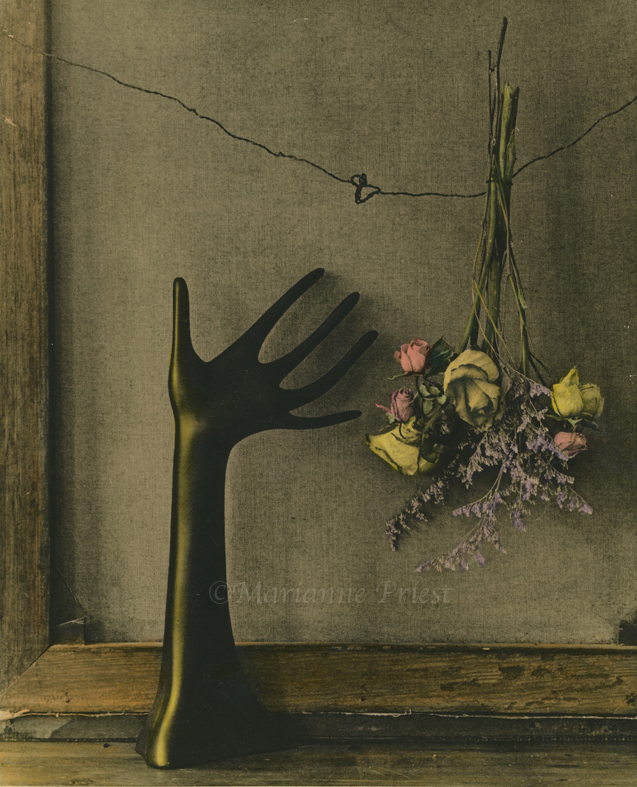 hand colored lith 3