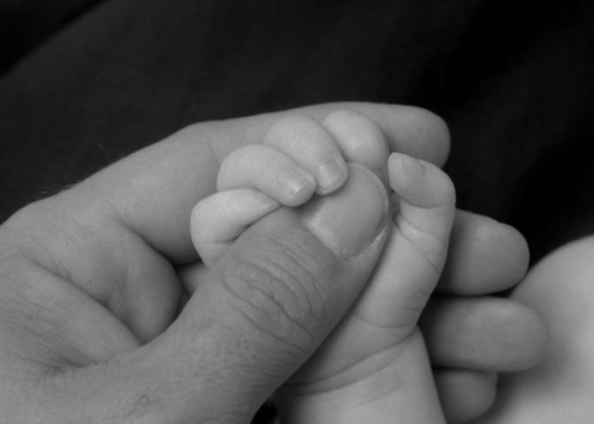 hands