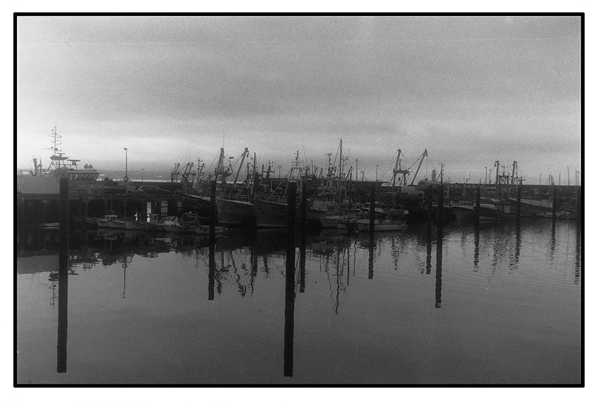 Harbour at dusk
