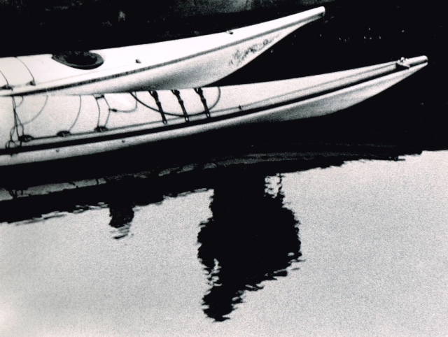 Harbour Reflection