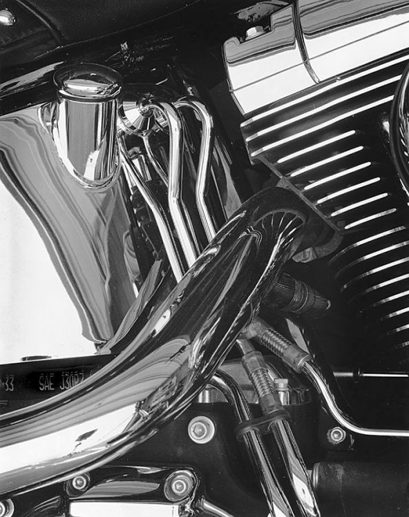 Harley Diaries