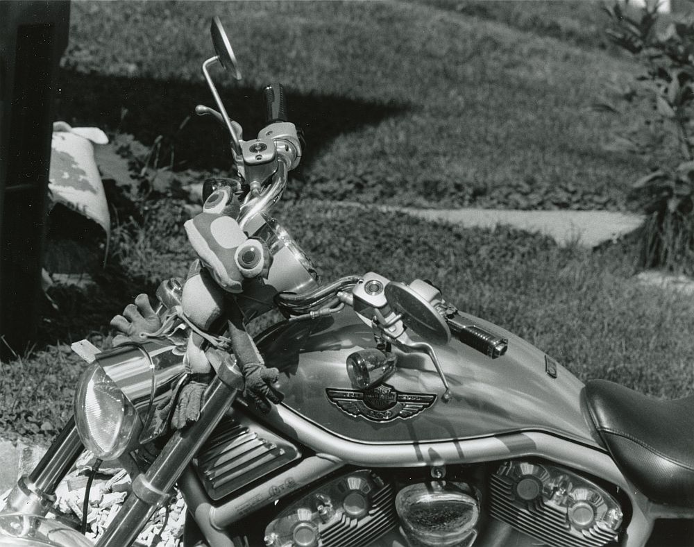 Harley Frog