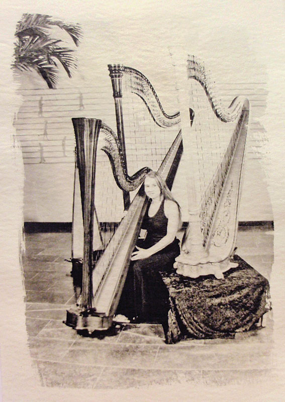 Harpist