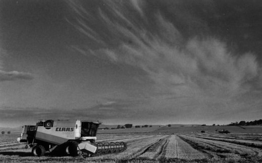 Harvest time