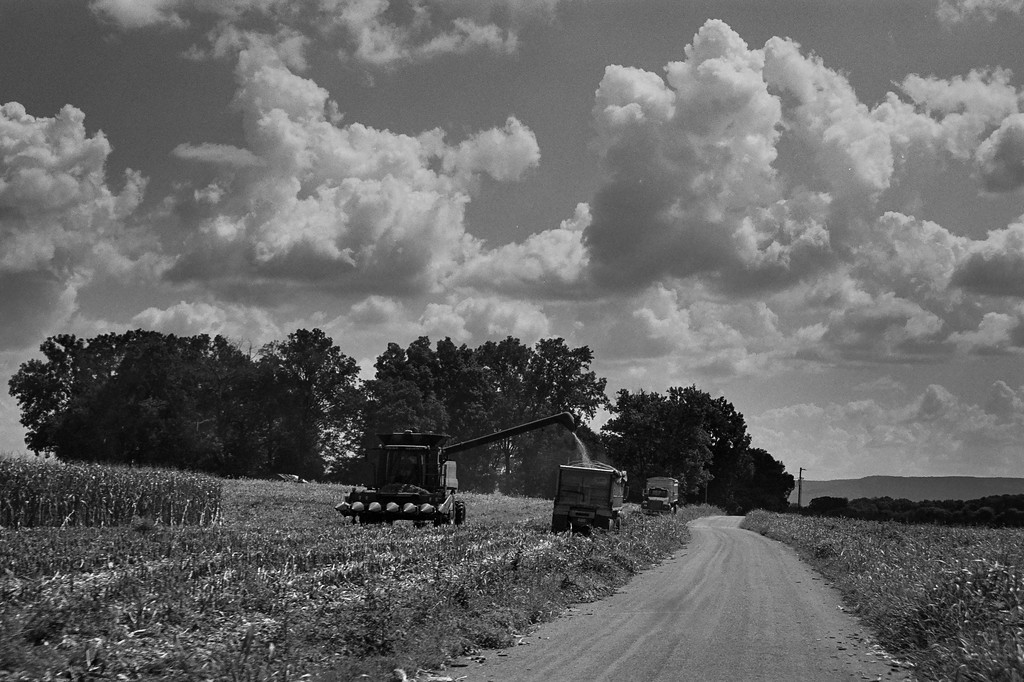 Harvest Time