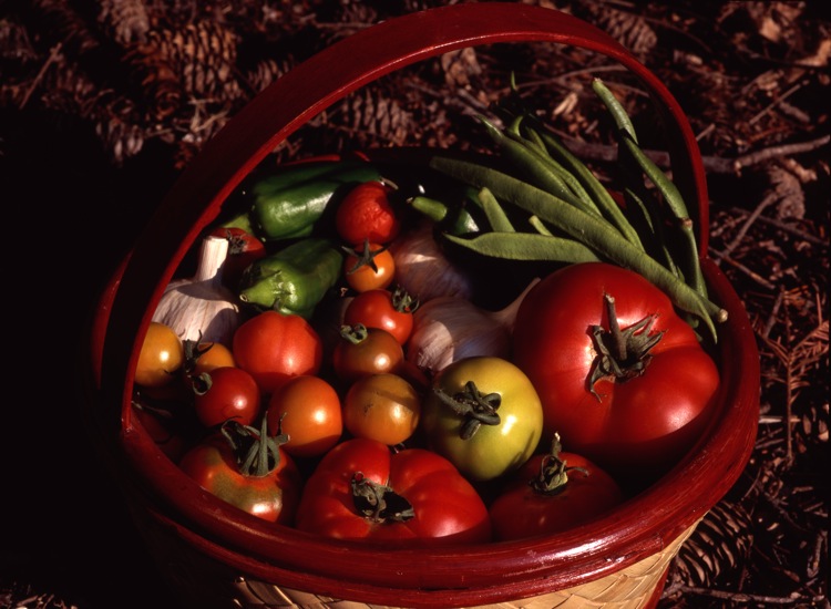 Harvest