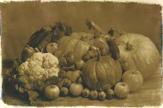 Harvest
