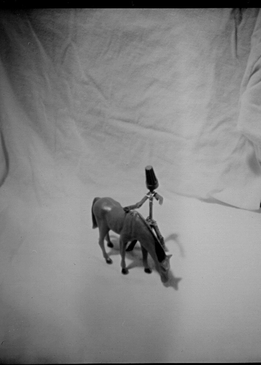 hats and horses