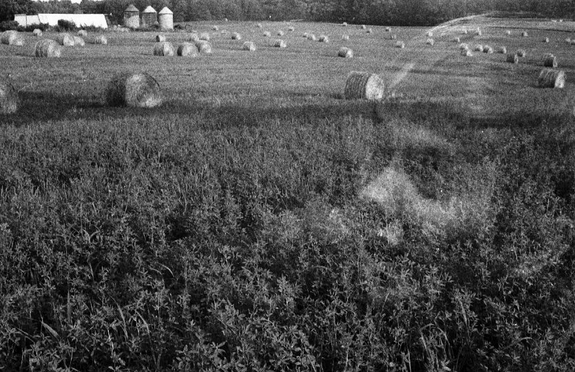 Haunted Farm Land