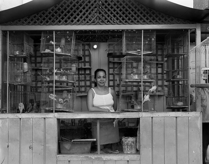 Havana, Cuba - Bird Shop
