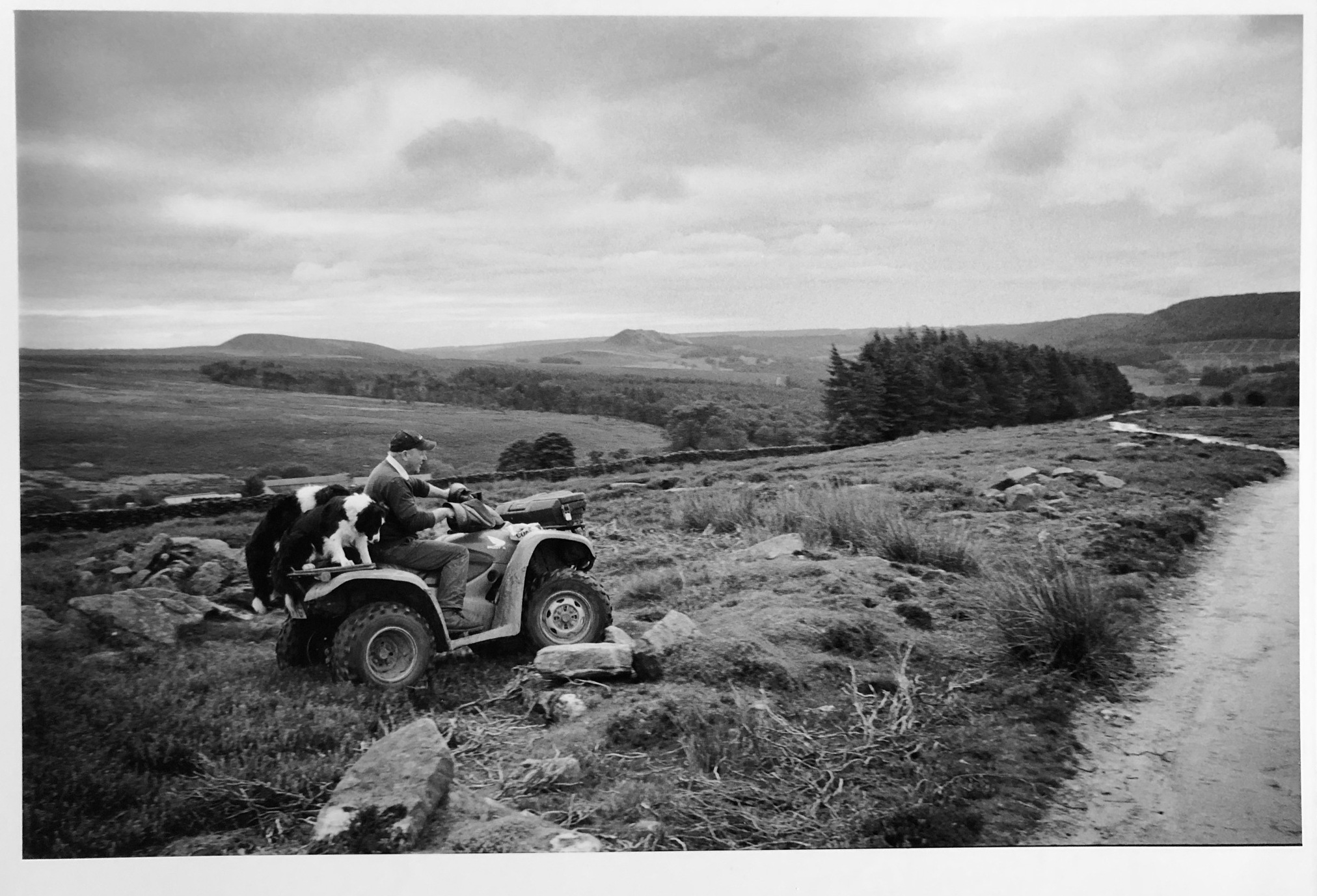 Hawnby Moor, North Yorkshire,