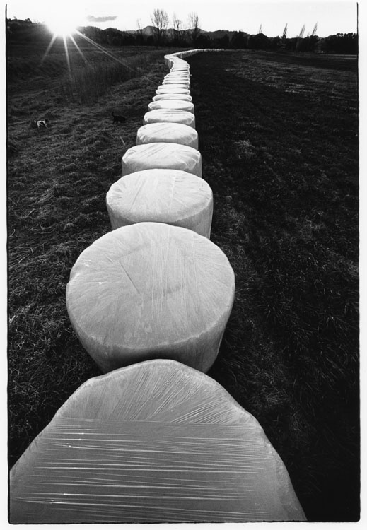 Hay Bales