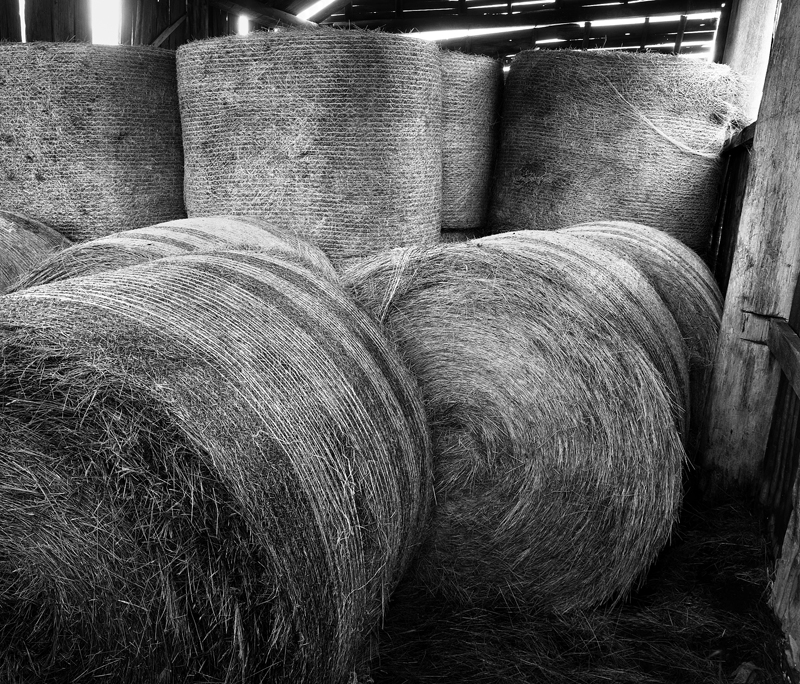 Hay Bales.