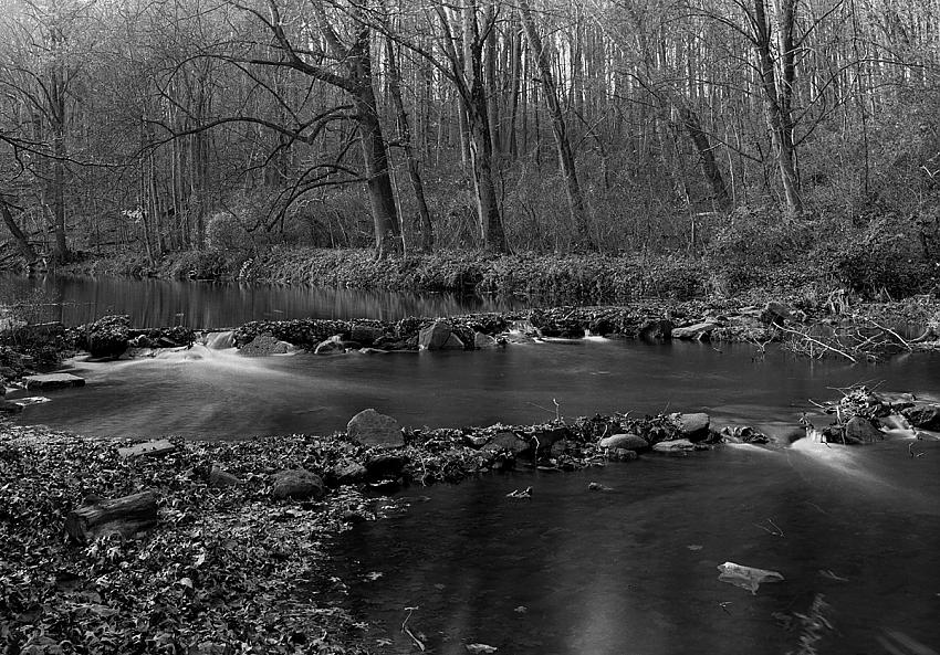 Hay Creek, 2015