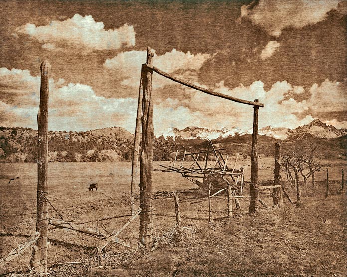 Hay field