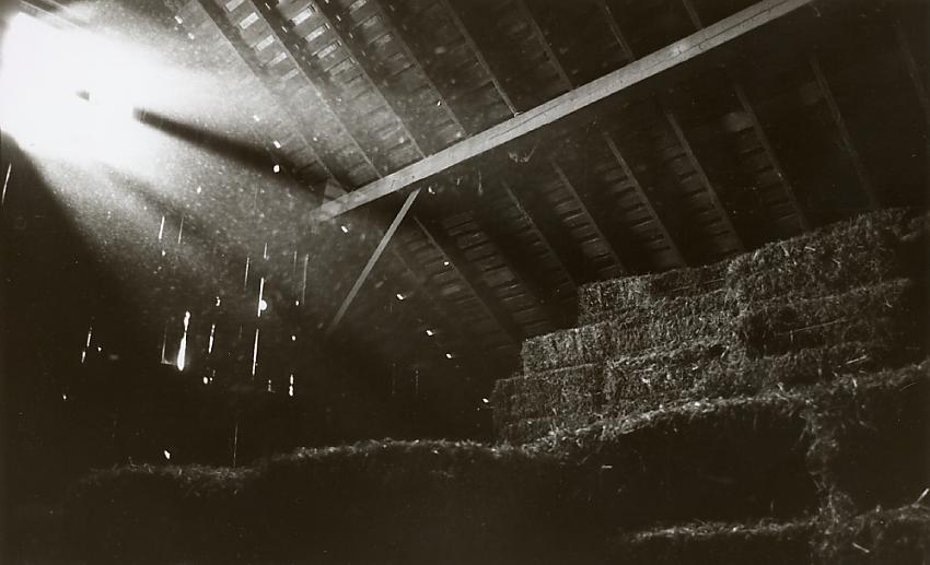 hay loft - MSA light and shadow