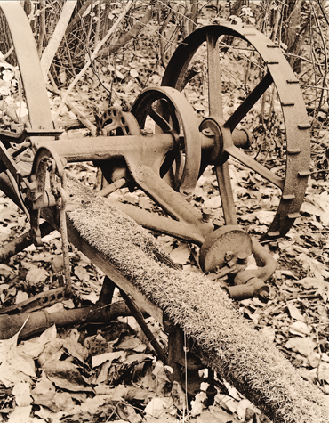 Hay Mower; Huyser Farm