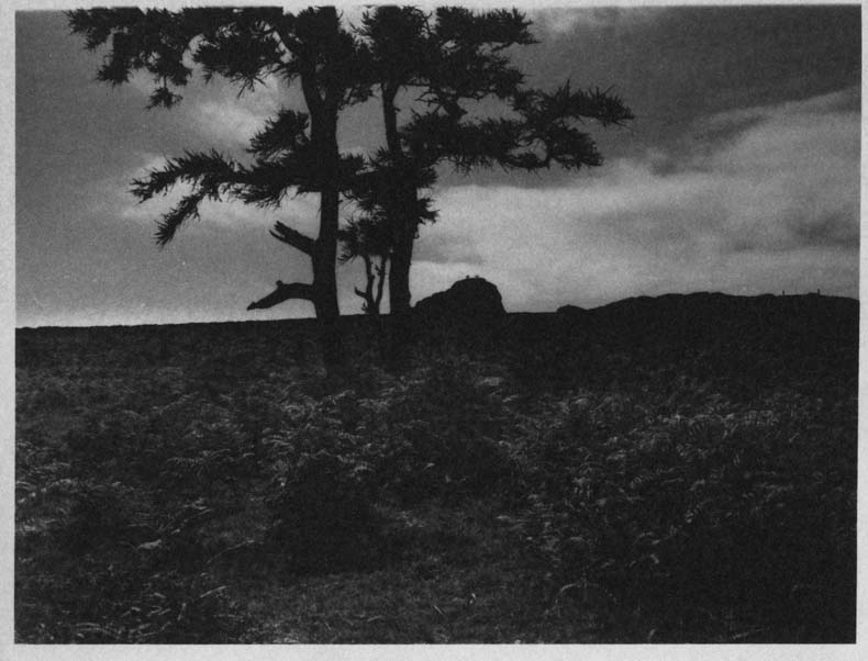 Haytor