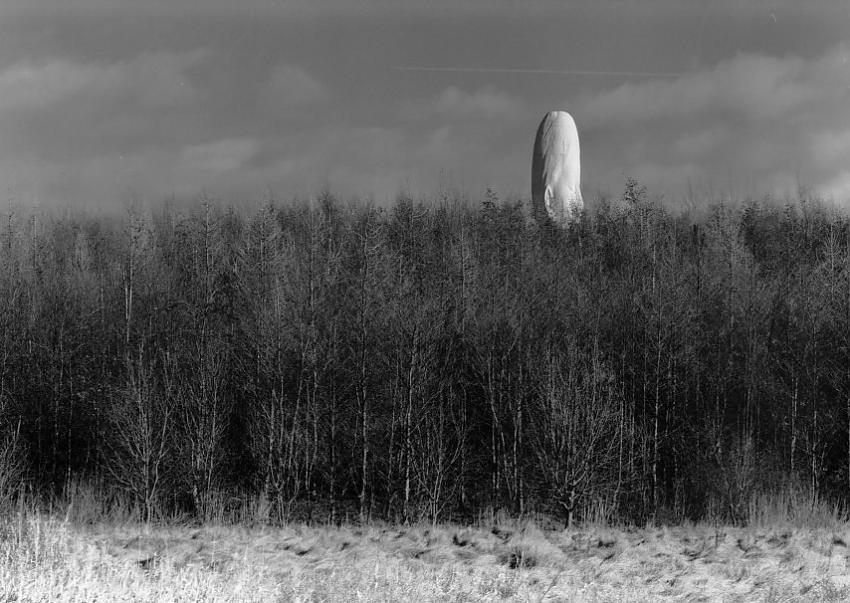 Head and Trees