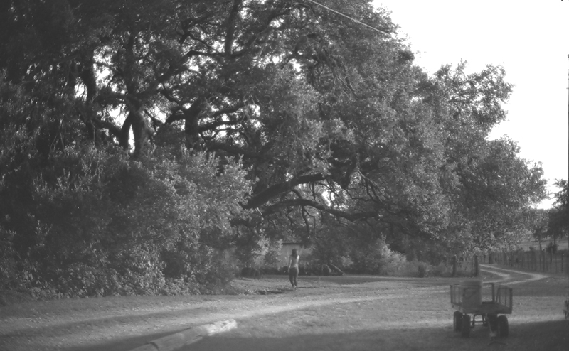 Headed for the tree
