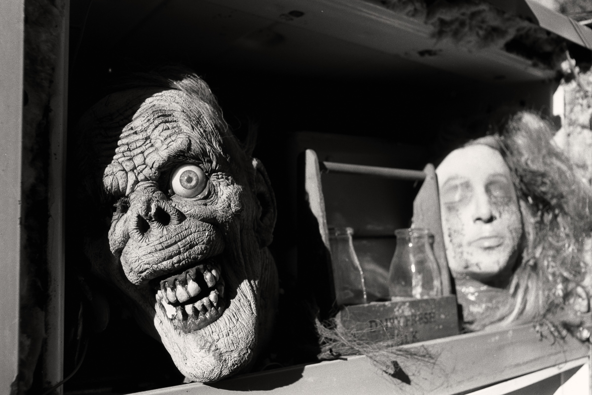 Heads in a freezer