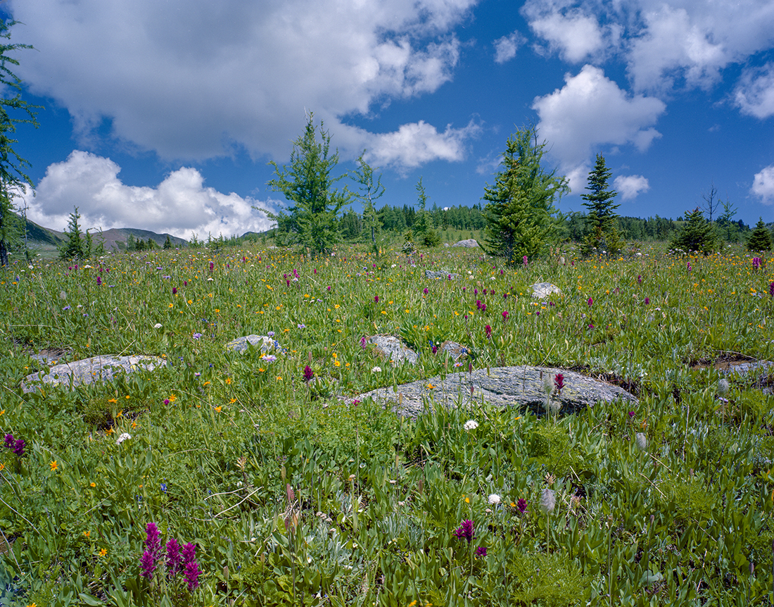 Healy Pass, AB
