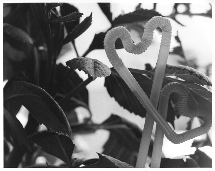 Hearts of straw