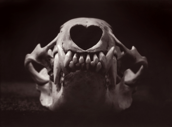 &hearts;