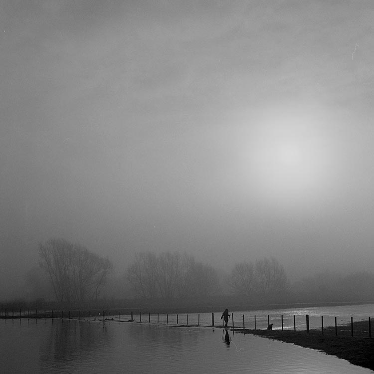 Heavy Mist on the Flooded Stour