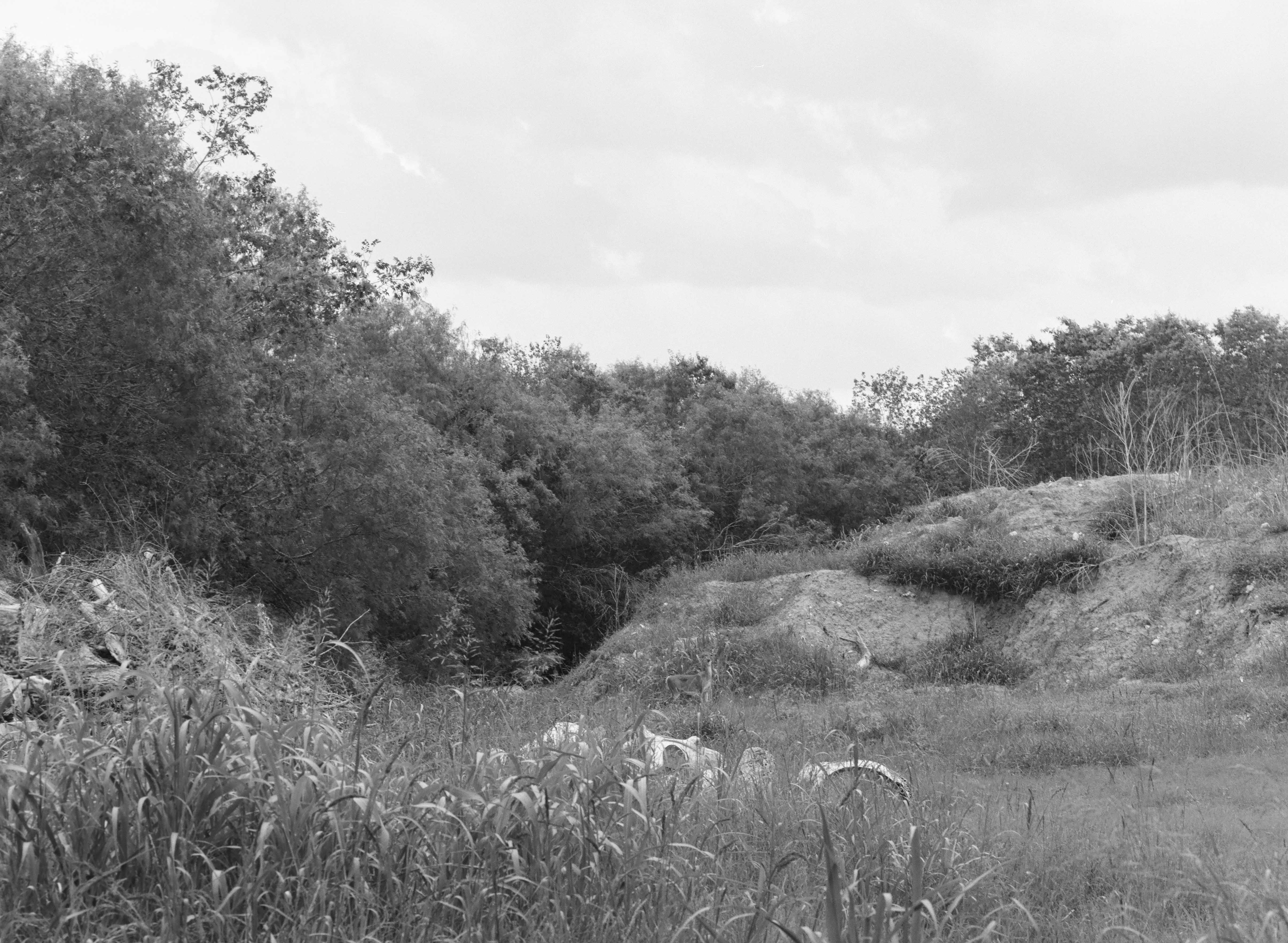 Helton Nature Park