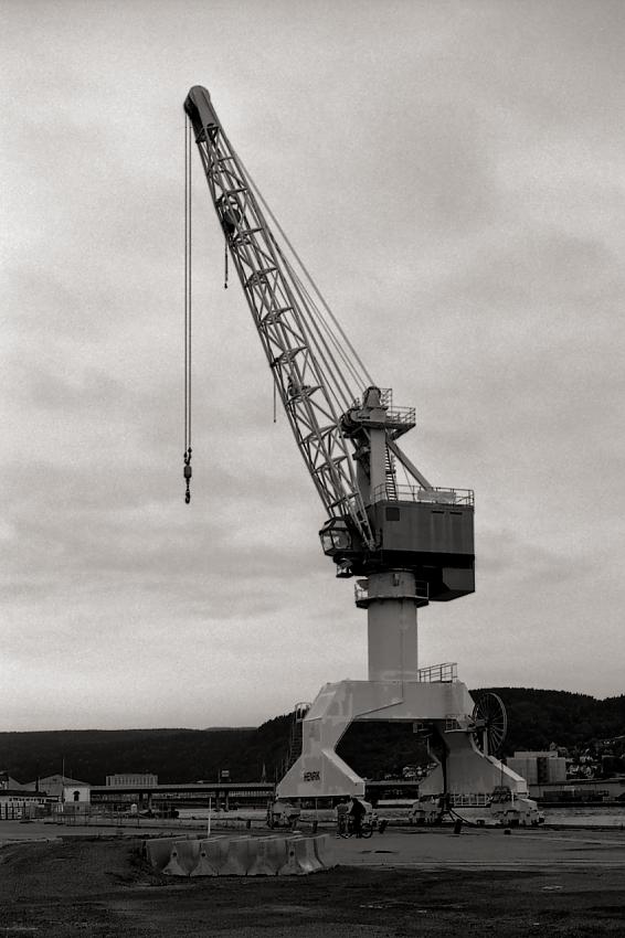 Henrik the Crane