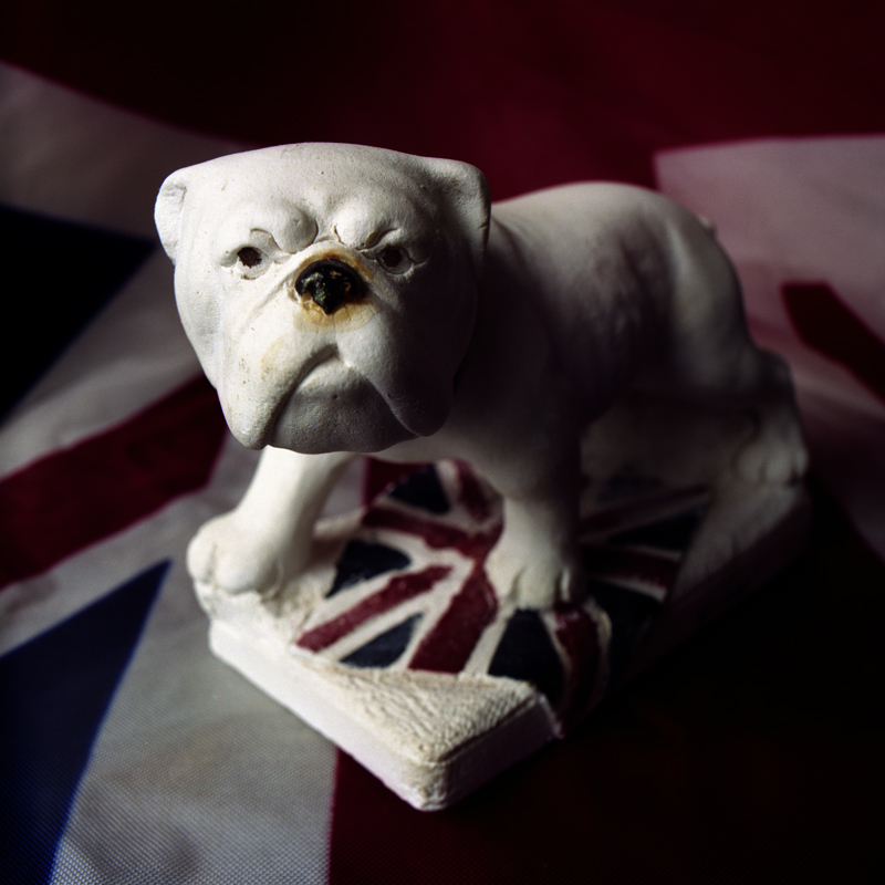 Hey Bulldog Exposure no. 10