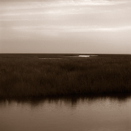 Hickory Mound 13