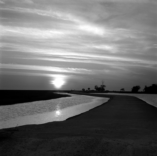 Hickory Mound 4