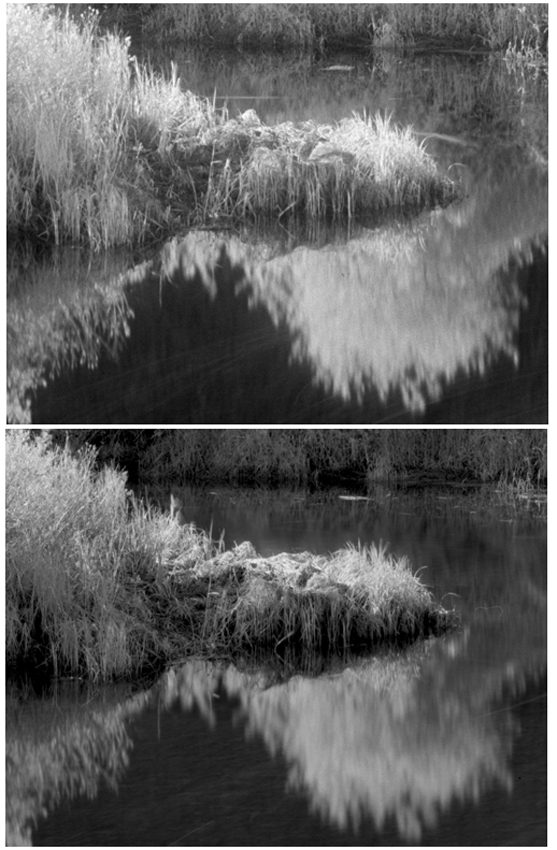 HIE & Rollei IR Comparison