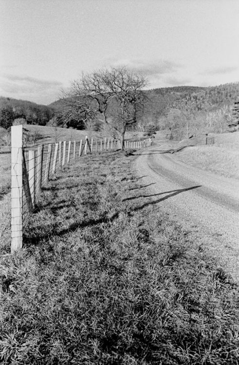 High Valley Road 2