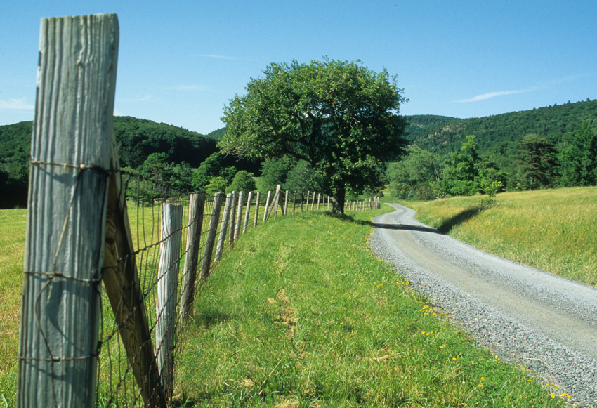 High Valley Road 7/07 Fencepost