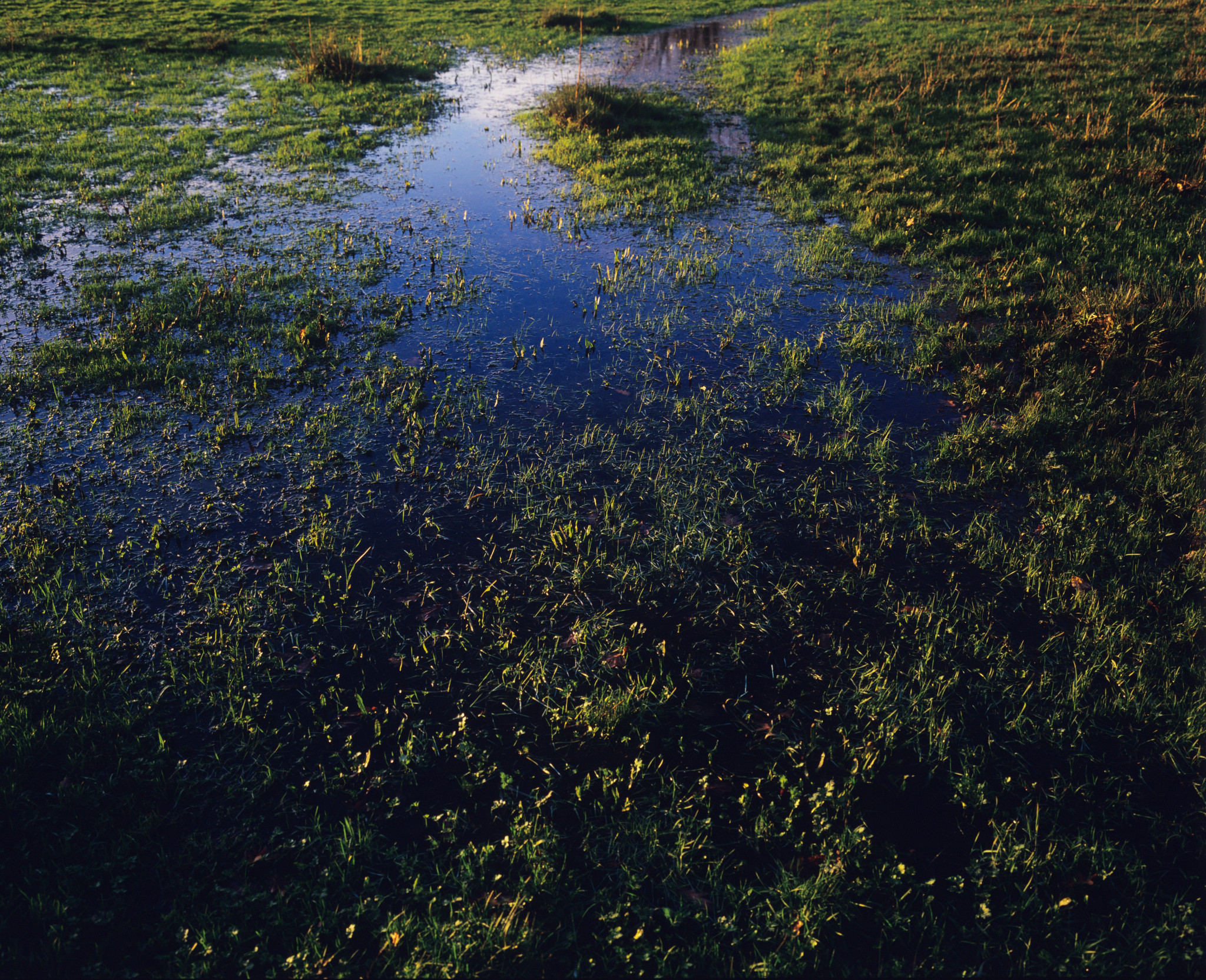 High water table reflections Photography Forums