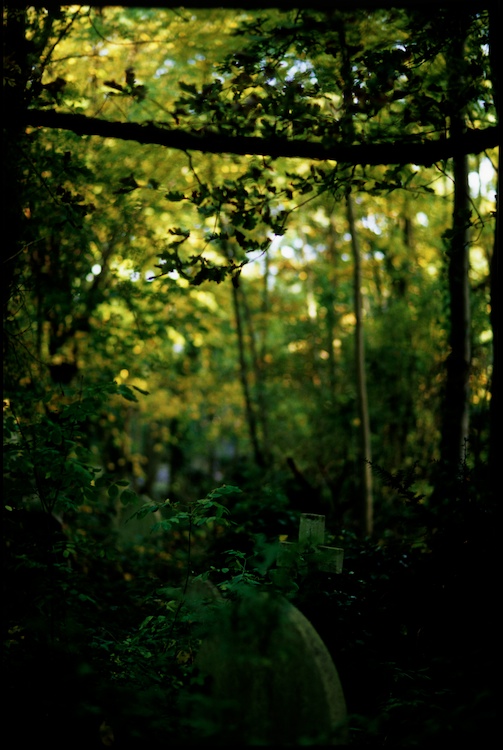 Highgate