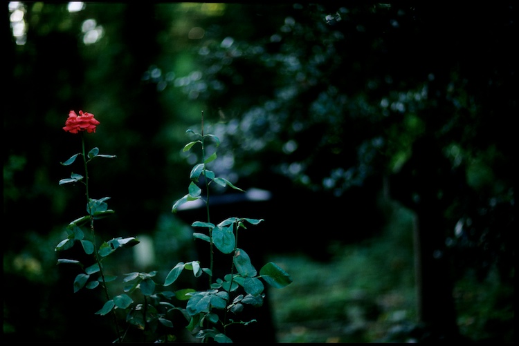 Highgate