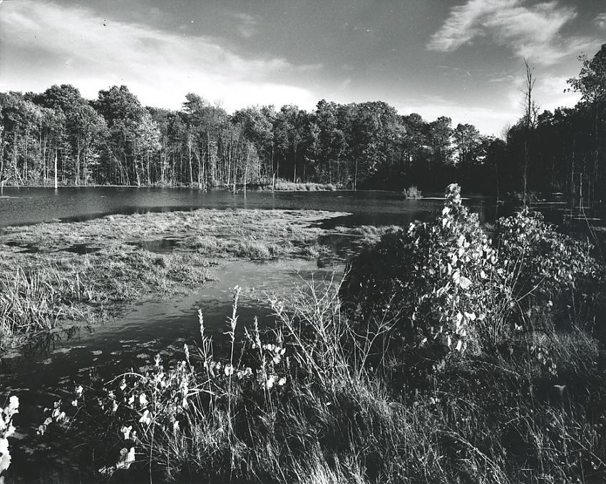 Highlander Way Pond