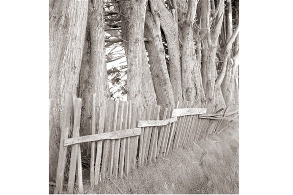 Highway 1 Fence