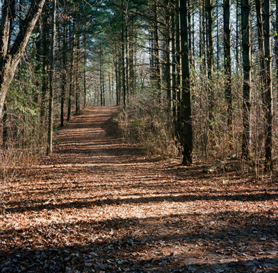 Hiking trail