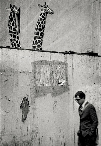Hill and Fifth. Los Angeles, California.