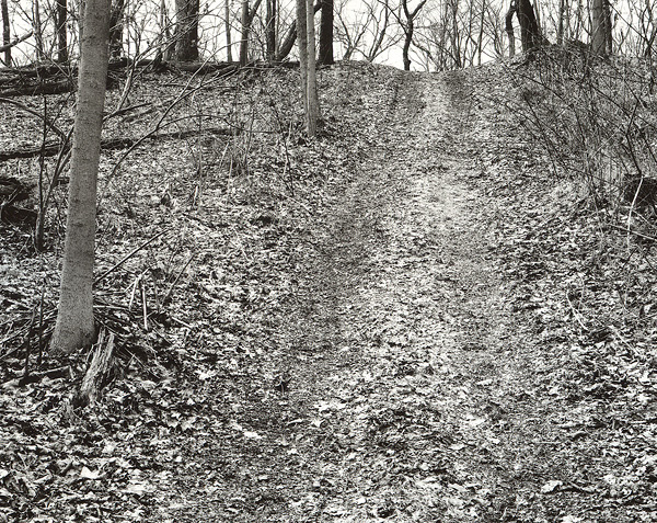 Hillside Logging Road