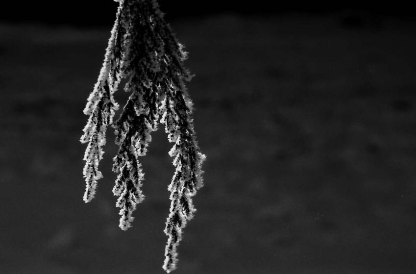 Hoar frost