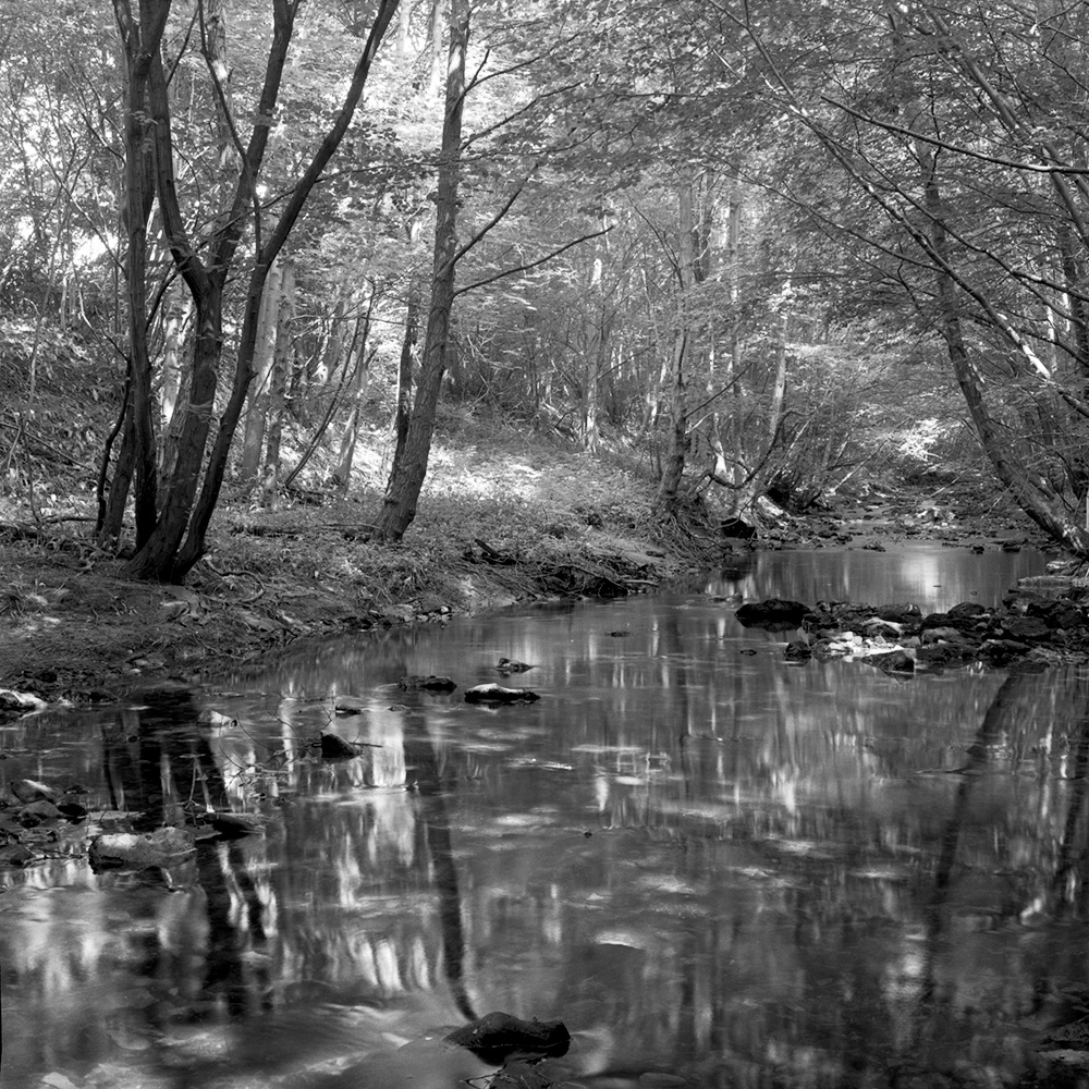 Hodge Beck