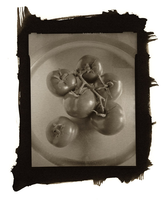 hole-tomatoes