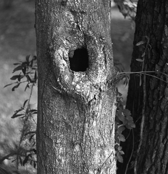 hole