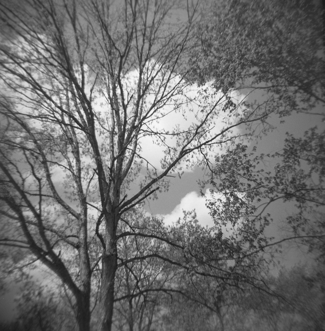 Holga cloud shot
